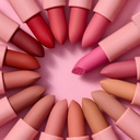 BEAUTY CREATIONS LABIAL TEASE ME#06 HINT HINT