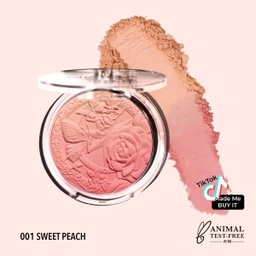 [816180029300] MOIRA Signature Ombre Blush (001, Sweet Peach)