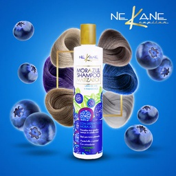 [659525853174] NE KANE CAPILAR Shampoo MORAZUL Matizador 300g